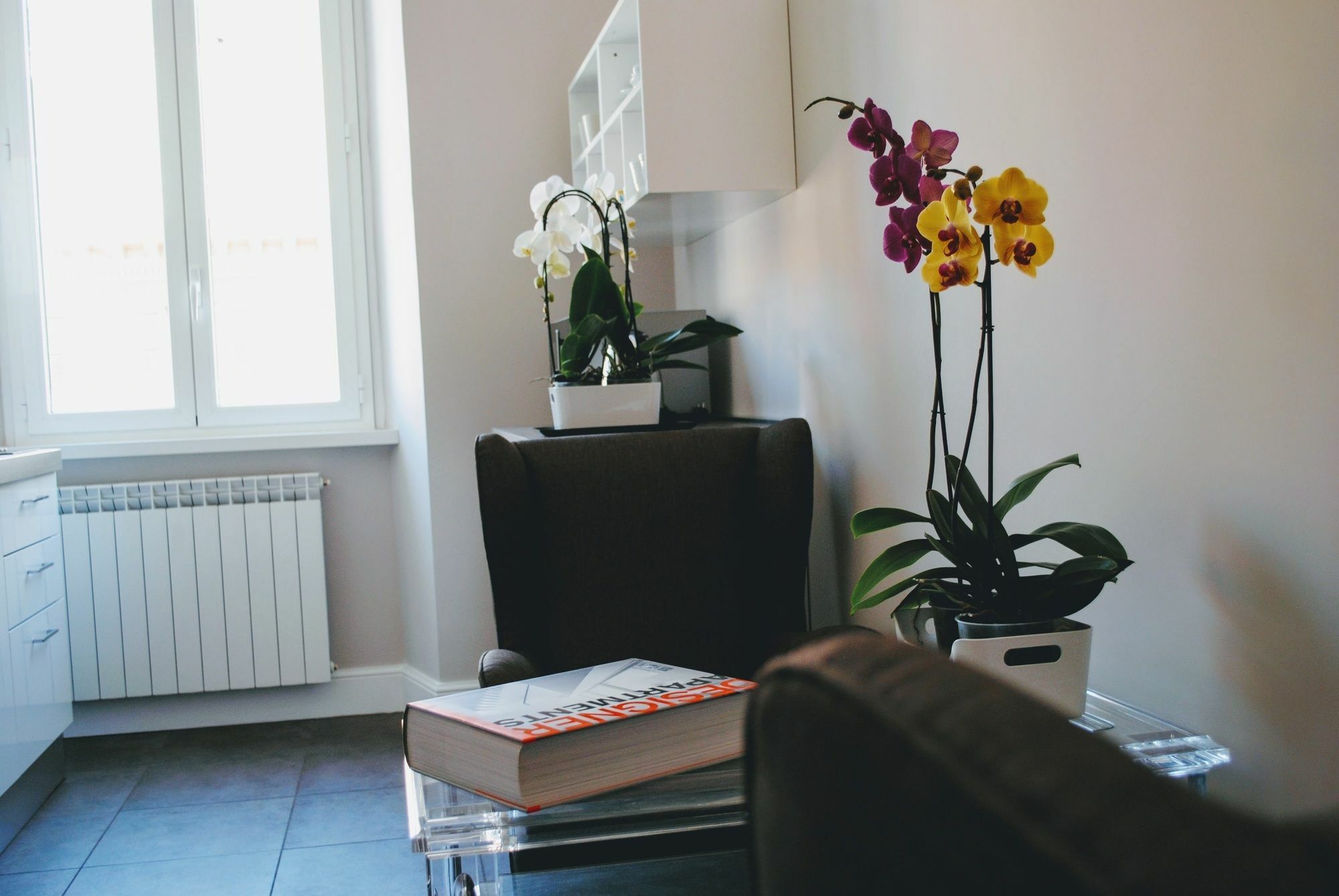 Guest House Cavour 278 روما المظهر الخارجي الصورة